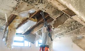 Best Water Damage & Mold Remediation  in Ardmore, AL